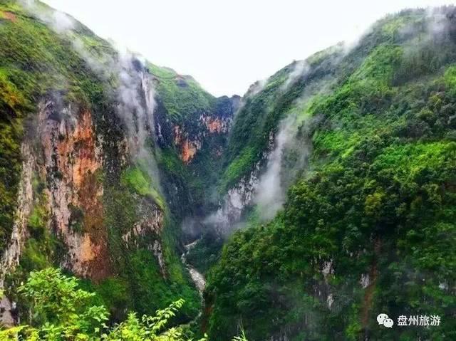 渝台生物医药如何融合发展?台盟重庆市委会建议从中医药和大健康着手